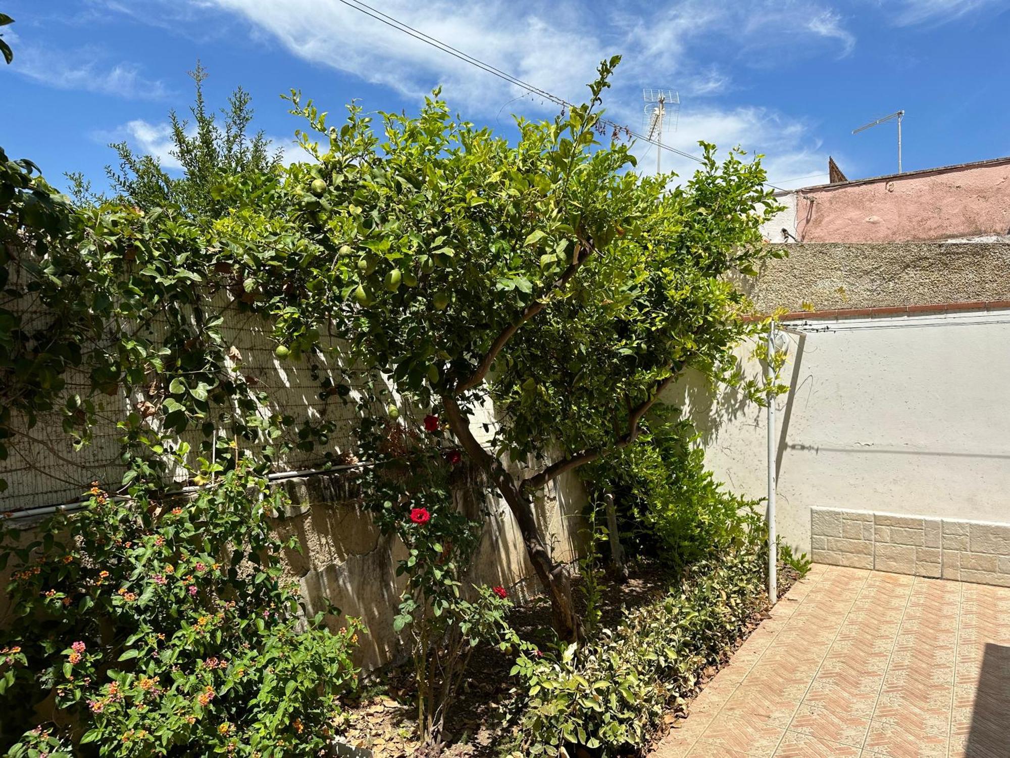 Villa San Leo San Leone Eksteriør bilde